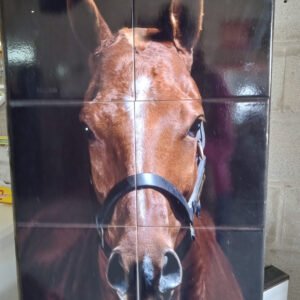 Cerámicas decorativas mayólicas